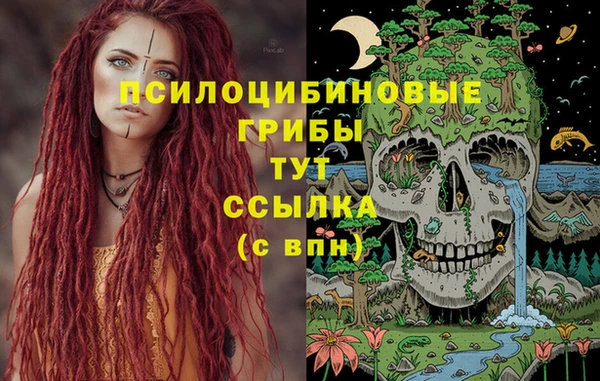 альфа пвп Остров